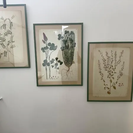 Apartament Nel Cuore Di *